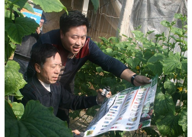 实验树模5