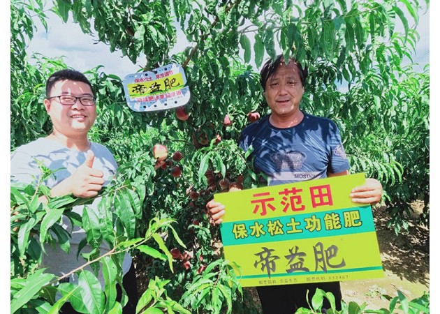 实验树模3