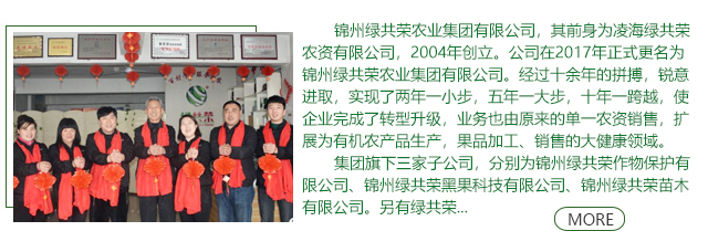 w66国际官网(中国)最给力的老牌娱乐 - welcome