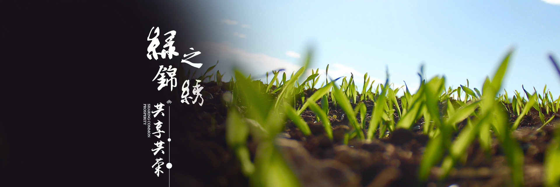 w66国际官网(中国)最给力的老牌娱乐 - welcome