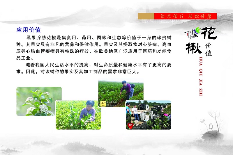 w66国际官网(中国)最给力的老牌娱乐 - welcome
