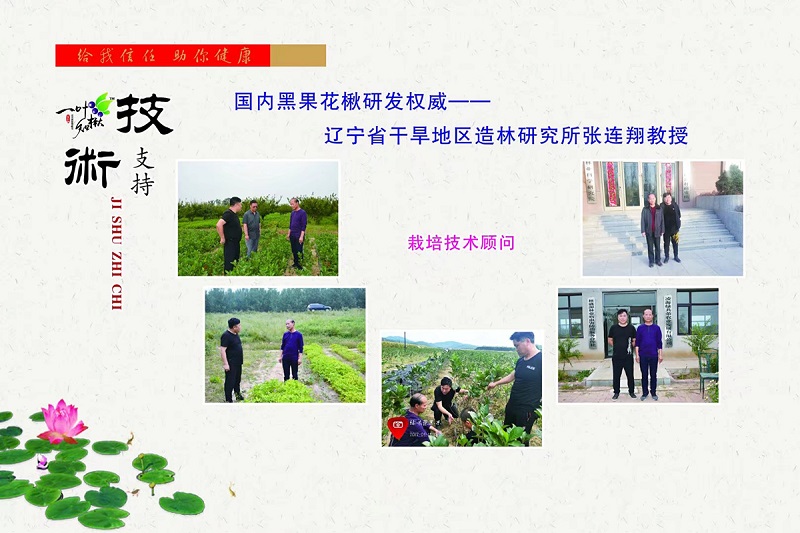 w66国际官网(中国)最给力的老牌娱乐 - welcome
