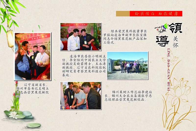 w66国际官网(中国)最给力的老牌娱乐 - welcome