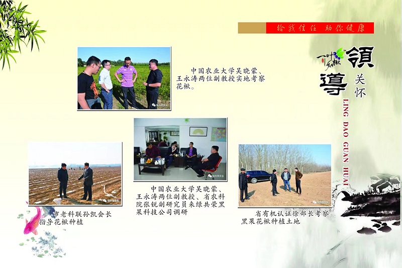 w66国际官网(中国)最给力的老牌娱乐 - welcome