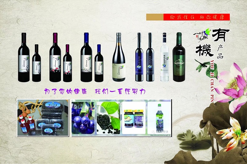 w66国际官网(中国)最给力的老牌娱乐 - welcome