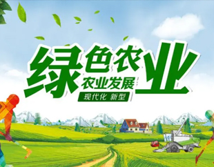 锦州W66最给力的老牌娱乐黑果科技有限公司
