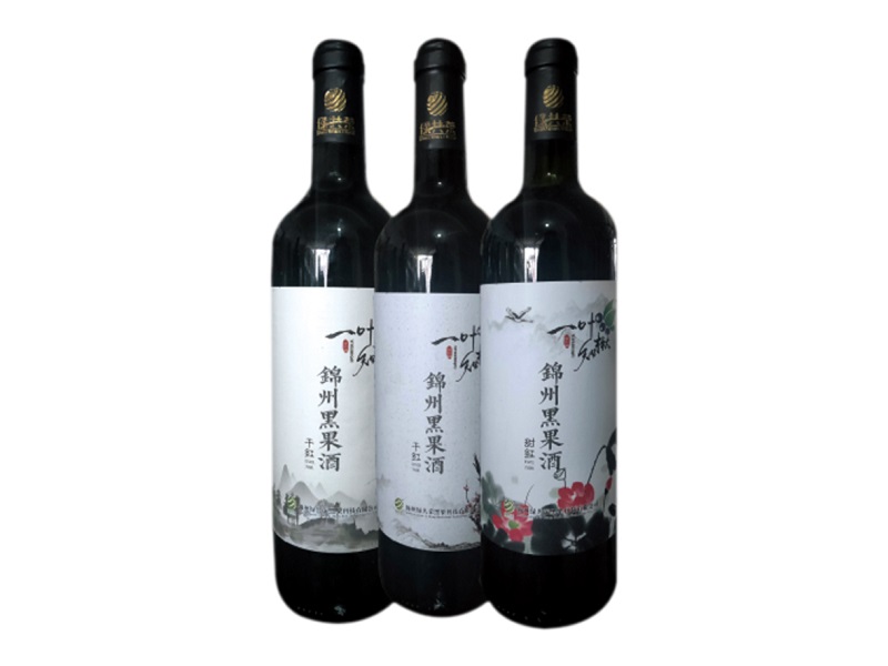 w66国际官网(中国)最给力的老牌娱乐 - welcome
